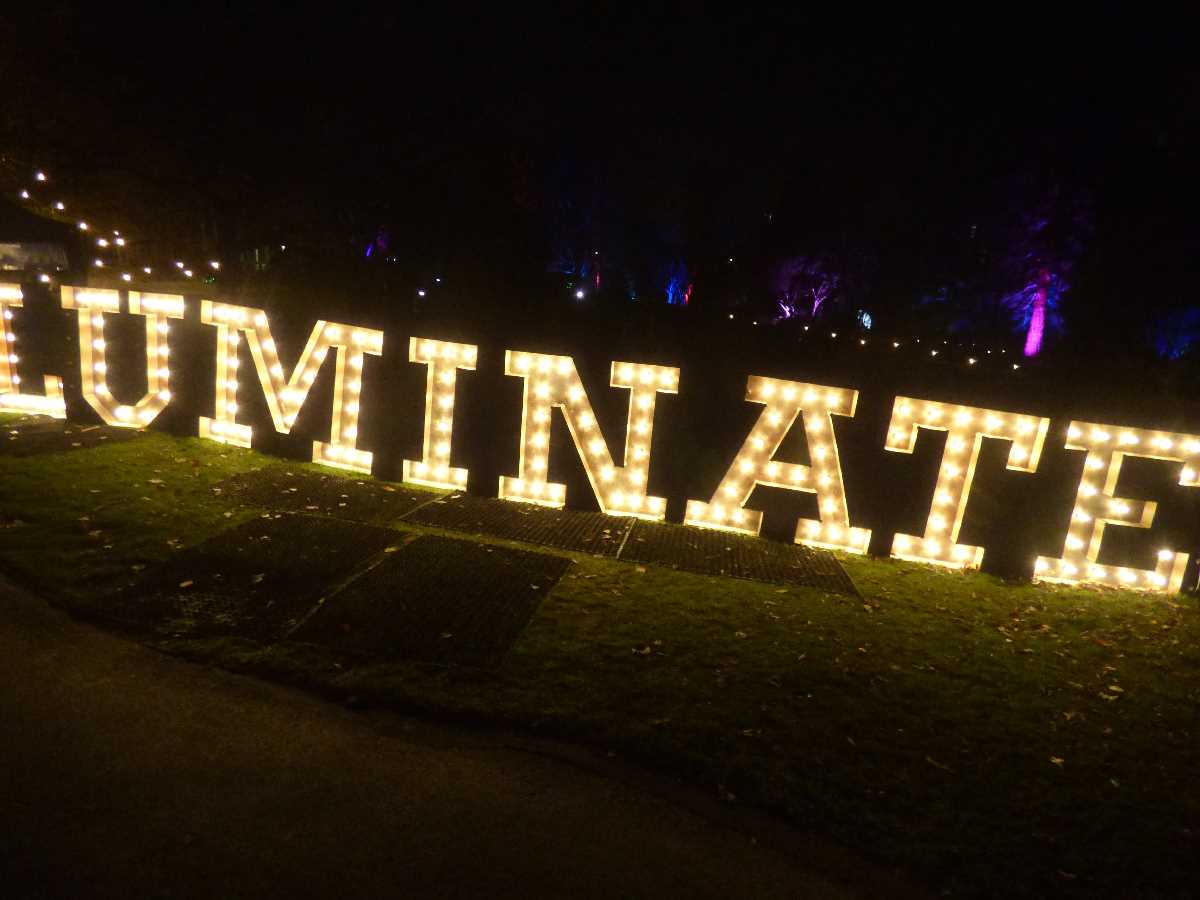 Luminate at the Birmingham Botanical Gardens